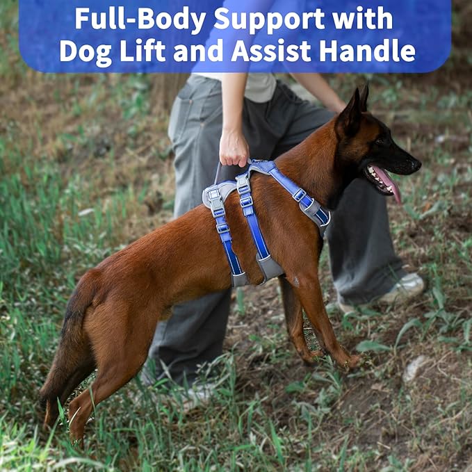 Huntboo Reflective Dog Harness with Handle, Escape Proof, No Slip, Breathable, Lightweight, Adjustable Lift Harness for Small, Medium, and Large Dogs Walking, Training, and Running Gear(Sea Blue,L)