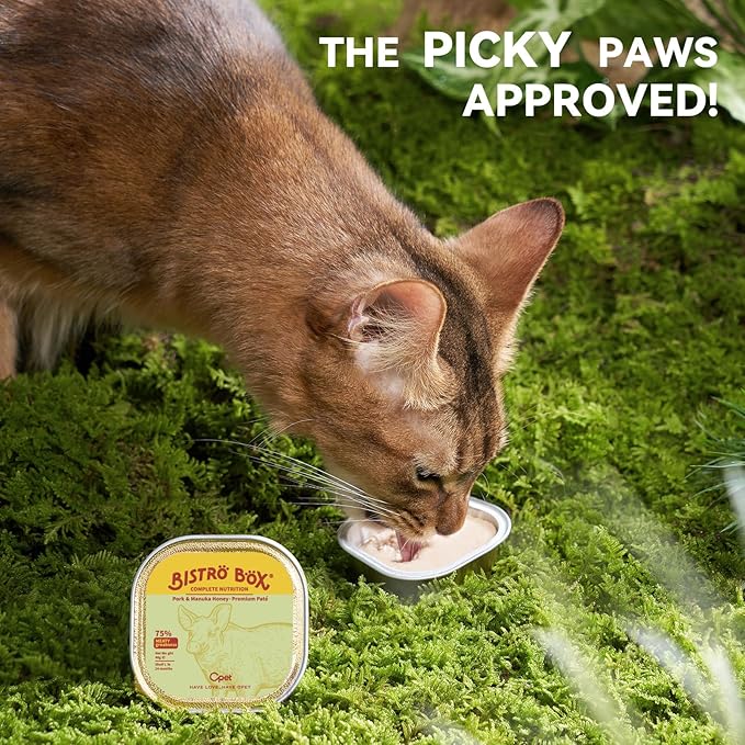 OPET Wet Cat Food Pate, Grain Free Wet Pate, Balanced Recipe Cat Can Food, Pork Flavor 1.41 Ounce 4 Pack of 4