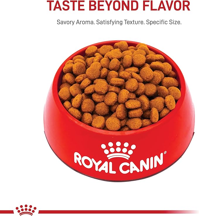 Royal Canin Large Digestive Care Dry Dog Food, 30 lb bag