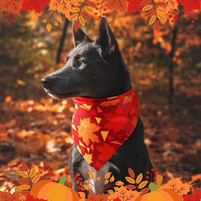 Preboun 50 Pcs Fall Pumpkin Dog Bandana Bulk Maple Leaves Bandana for Dogs Triangle Kerchief Bib Scarf for Small Medium Large Pet Thanksgiving Costume Accessories, 25 Styles (31.5 x 21.7 x 21.7 Inch)