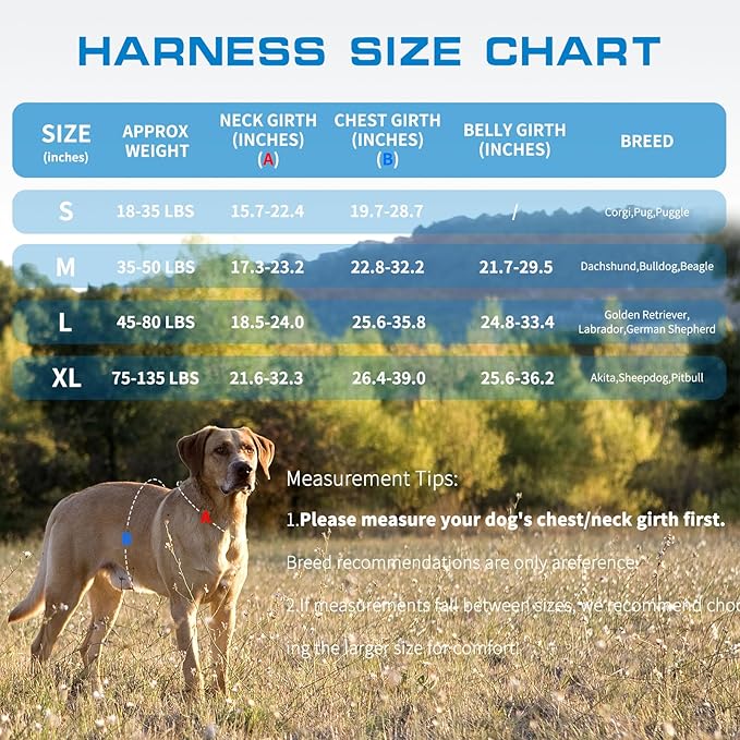 Tactical Dog Harness Medium Sized, Heavy Duty No Pull Dog Harness with Handle, Easy On and Off Service Dog Vest with Molle System, Reflective Pet Vest for Walking Hiking Training