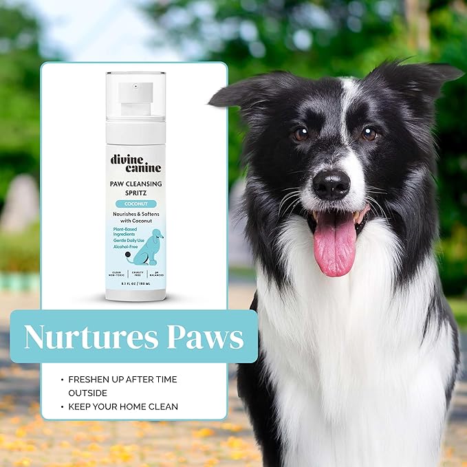 Dog Paw Cleaner - 5.1 Fl Oz of Alcohol Free Paw Cleansing Spray - Made with Coconut, Aloe, Copaiba Oil, and Lemongrass Oil to Nourish and Clean Paws - Made in The USA