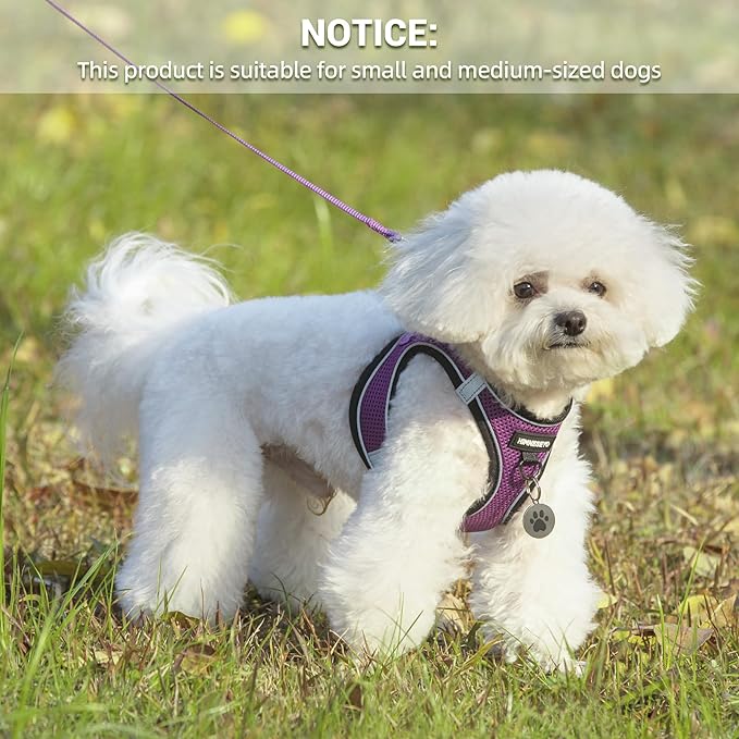 Dog Harness and Leash Set, Dog Harness for Dogs No Pull, No-Chock Step-in Reflective Breathable Lightweight Easy Walk Vest Harnesses with Safety Buckle for Small Dogs, Cats (Purple, S)