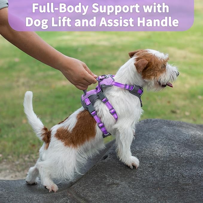 Huntboo Reflective Dog Harness with Handle, Escape Proof, No Slip, Breathable, Lightweight,Adjustable Lift Harness for Small,Medium,and Large Dogs Walking, Training,and Running Gear(Lavender Purple,S)