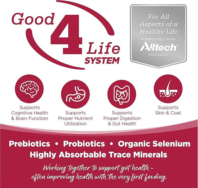 NutriSource Seafood Select Grain-Free Dog Food, Made with Salmon and Menhaden Fish Meal, 30LB, Dry Dog Food