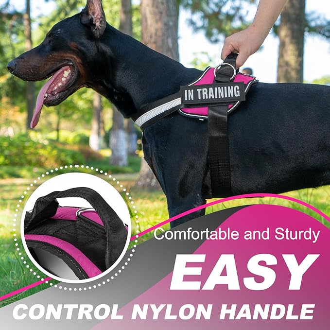 Essential Dog Harness with 3 Leash Clips - No-Pull, Adjustable, Comfortable Pet Vest Harness for Small to Large Dogs - Easy On, No Choke, Reflective, Padded Harness for Walking and Training