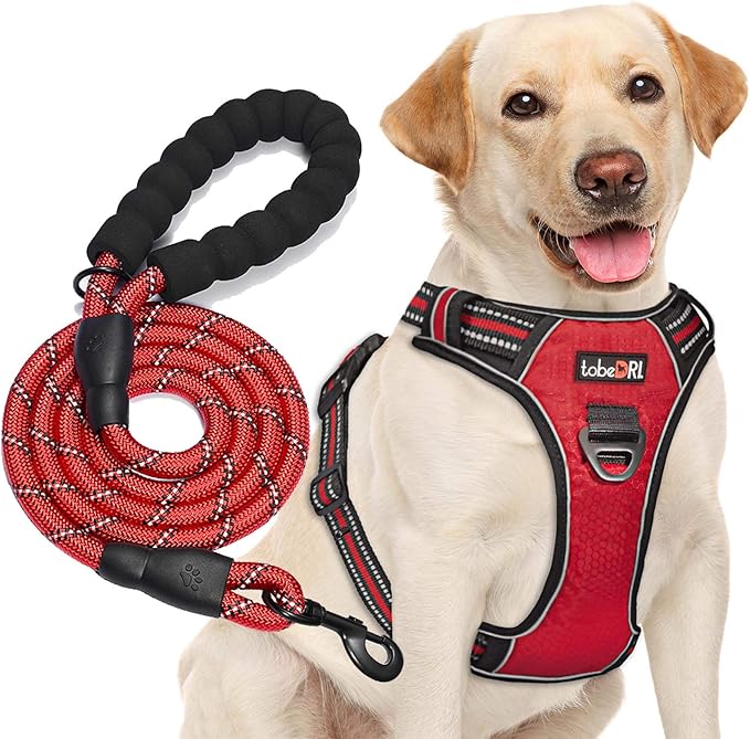 No Pull Dog Harness Adjustable Reflective Oxford Easy Control Medium Large Dog Harness with A Free Heavy Duty 5ft Dog Leash (S (Neck: 14"-17", Chest: 18.5"-20"), Red Harness+Leash)