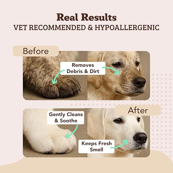 Natural Dog Company XL Grooming Wipes for Dogs – Hypoallergenic, Biodegradable, Fragrance Free – Aloe Vera & Witch Hazel – Large 7×8 in Wipes for Paws, Face, Ears & Butt – 200 Count Sensitive Skin