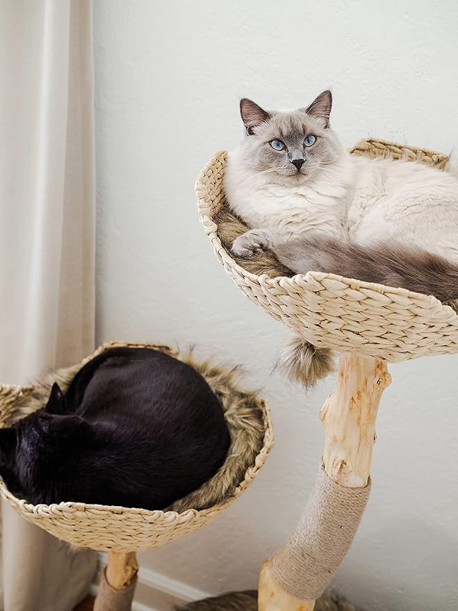 Modern Cat Tree Tower, Real Branch luxury Cat Condo, Wood Cat Tower, Cat Scratching Tree, Cat Condo, Cat Lover Gift, Luxury Cat, Cat Gifts by Mau Lifestyle