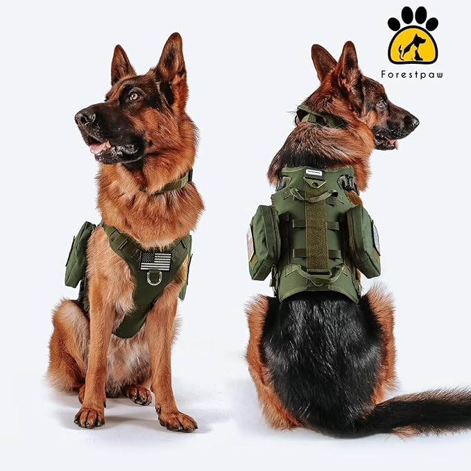 Forestpaw Tactical Dog Harness for Large Dogs,Tactical Dog Collar with Bungee Leash Set,No Pull Military Dog Harness for Walking Training,Adjustable for Medium Large Dogs,Green,Chest 19.5-41.5"