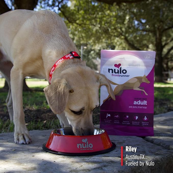 Nulo Frontrunner Ancient Grains High-Protein Dog Food, Pork, Barley, & Beef Recipe- Natural Dry Dog Food with Probiotics, Grain-Inclusive Kibble for Adult Dogs, 5 lb Bag
