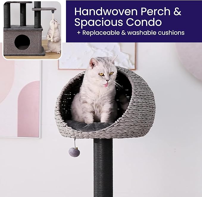 Catry 62" High 6 Level Mordern Cat Tree with Large Base Condo, Top Hoodie Bed, Quilted Velvet Pad Steps, Replaceable Scratching Posts,for Multi- Cats Homes(Dark Gray)