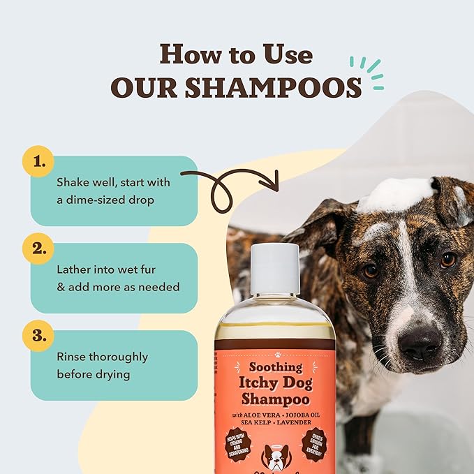 Natural Dog Company Itchy Dog Shampoo 12 oz – Hypoallergenic & Fragrance Free – Aloe Vera, Jojoba & Sea Kelp – Sulfate & Paraben Free – Soothes Dry, Itchy, Irritated Skin – Safe for All Breeds