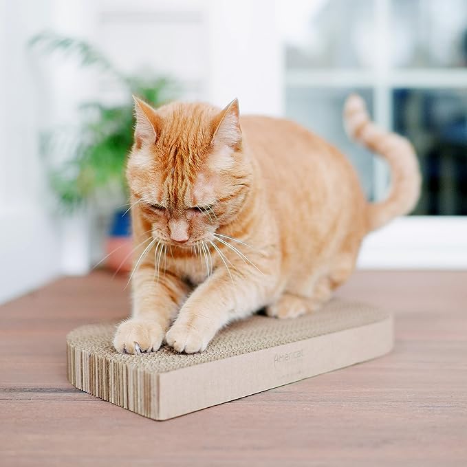 Cat Scratcher by Americat – Made in USA Cardboard Scratching Pad & Lounger – X Large, 2-Sided, Heavy, No-Shedding, Long-Lasting (Rectangle)