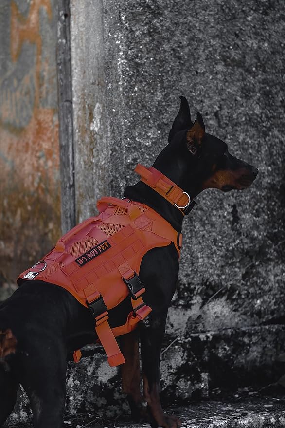OneTigris - Tactical Dog Harness No Pull for Medium Dogs, Breathable Mesh Design, Service Dog Vest with Handle and Molle Bags, Adjustable Suit for Walking Hiking