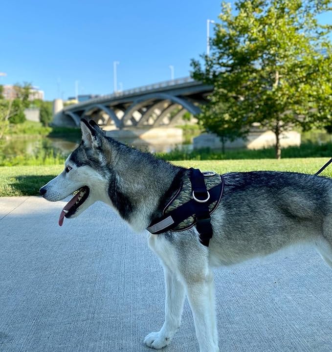 ShawnCo Essential Dog Harness, No-Pull Pet Vest with 3 Leash Clips, No Choke, Reflective, Adjustable and Padded, for Easy Walking and Training for Small, Medium and Large Dogs (Military Camo, XS)