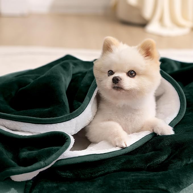 gogobunny Waterproof Bed Blanket, Reversible Sherpa Fleece Throw Blanket for Dog Puppy Cat, Furniture Cover Protects Bed Couch Sofa from Liquid Pee and Pet Fur (Forest Green, 30x70 inches)