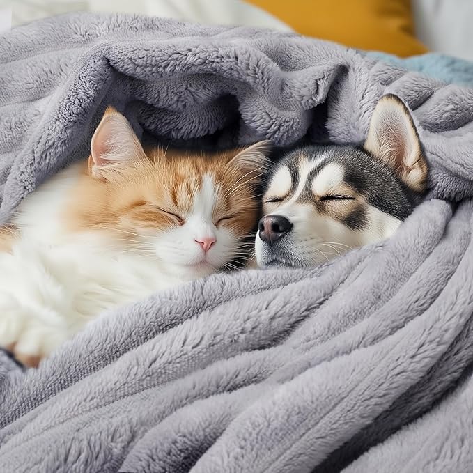 LINENLUX 1 Pack 3 Soft Fleece Dog Blanket for Pet Washable Warm Cat Puppy Fluffy Calming Flannel Grey Medium