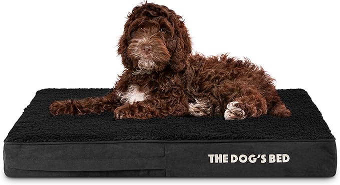 The Dog’s Bed Orthopedic Memory Foam Dog Bed, Medium Black Plush, Pain Relief for Arthritis, Hip & Elbow Dysplasia, Post Surgery, Lameness, Supportive, Calming, Waterproof Washable Cover