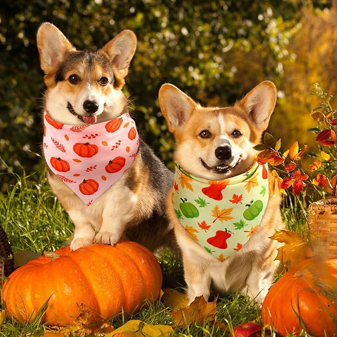 Preboun 50 Pcs Fall Pumpkin Dog Bandana Bulk Maple Leaves Bandana for Dogs Triangle Kerchief Bib Scarf for Small Medium Large Pet Thanksgiving Costume Accessories, 25 Styles (25.6 x 17.7 x 17.7 Inch)