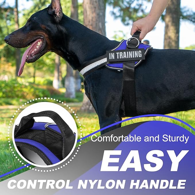 Essential Dog Harness with 3 Leash Clips - No-Pull, Adjustable, Comfortable Pet Vest Harness for Small to Large Dogs - Easy On, No Choke, Reflective, Padded Harness for Walking and Training
