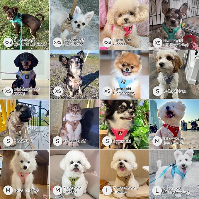 BELLA & PAL Step in Vest Harness for Small and Medium Dogs, No Pull Small Dog Harness with Leash Set, Comfortable Air Mesh Dog Vest Harness with Reflective Strip (Red, XS)