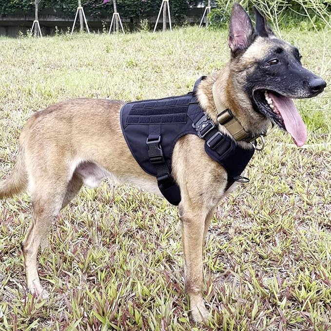 ICEFANG Tactical Dog Harness, X-Large Size,2X Metal Buckle,Working Dog MOLLE Vest with Handle,No Pulling Front Leash Clip,Hook and Loop Panel (Black,XL (Pack of 1))