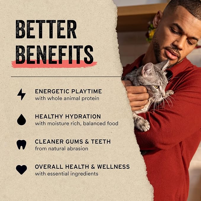 Vital Essentials Minnows Cat Treats, 0.5 oz | Freeze-Dried Raw | Single Ingredient | Grain Free, Gluten Free, Filler Free