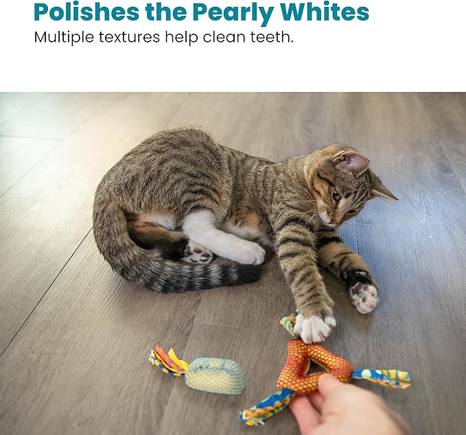 Catstages Catnip Dental Chew – Interactive Chew Toy for Cats with Crinkle Sounds and Textures for Teeth Cleaning, Multicolored