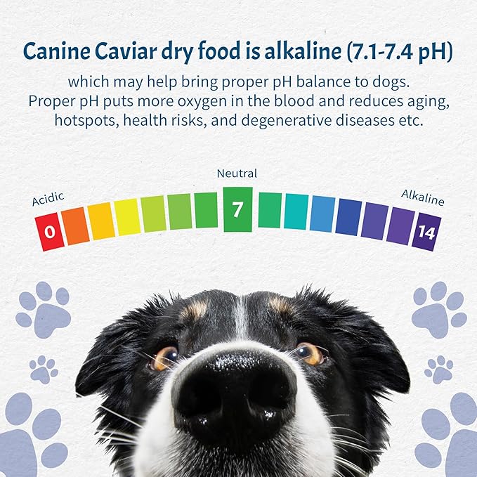 Canine Caviar - Wild Ocean: Herring & Teff Alkaline Dry Dog Food, Limited Ingredients, Gluten-Free, Based on Science & Research, Veterinary Alternative Diet (4.4 Pound Bag)