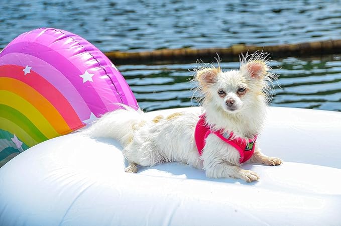 EcoBark Step in Dog Harness - Soft Mesh Dog Vest Harnesses for Small Dogs - Reflective and Adjustable No Pull and No Choke Halter Harness - Air Comfort Padded Body Harness (Small, Pink)