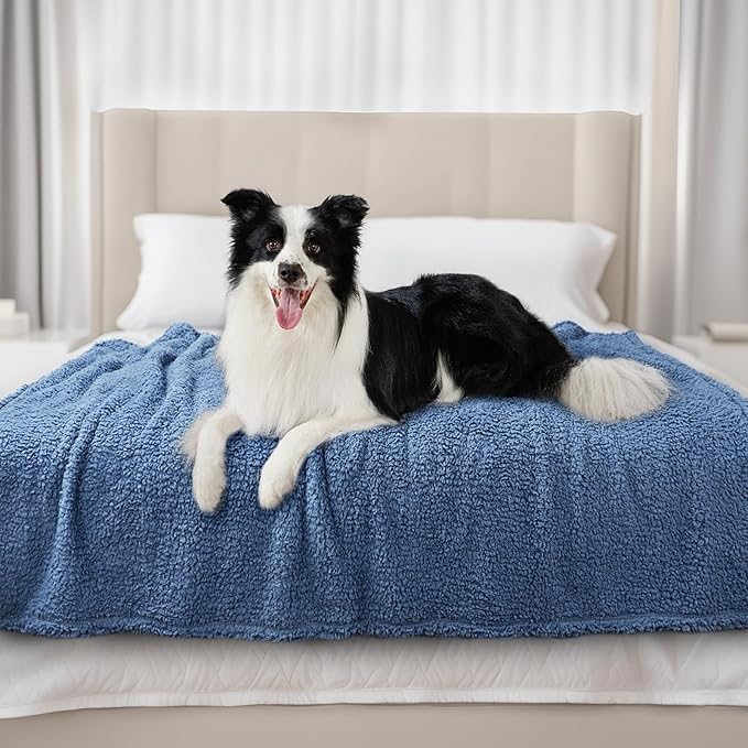 Luciphia Premium Fleece Dog Puppy Blanket Soft Pet Sherpa Calming Cat Blankets Throw for Small Medium Dog Cat(Haze Blue,57x40 inches)