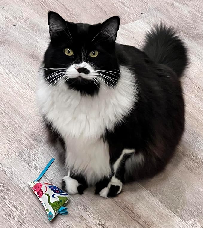 Colorful Catnip Mice CC4 Two Pack for Cats- Handmade in The USA