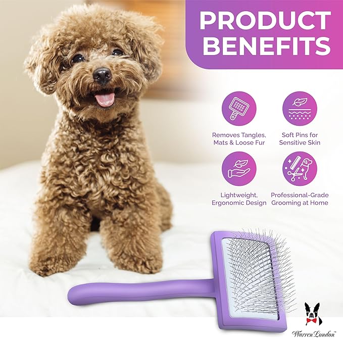 Warren London Precision Pro Slicker Brush for Dogs – 3.5" x 2" Medium Slicker Brush for Tangle-Free Grooming – Soft Pins for Medium & Long Coats – Ergonomic Handle – Professional Pet Grooming Tool