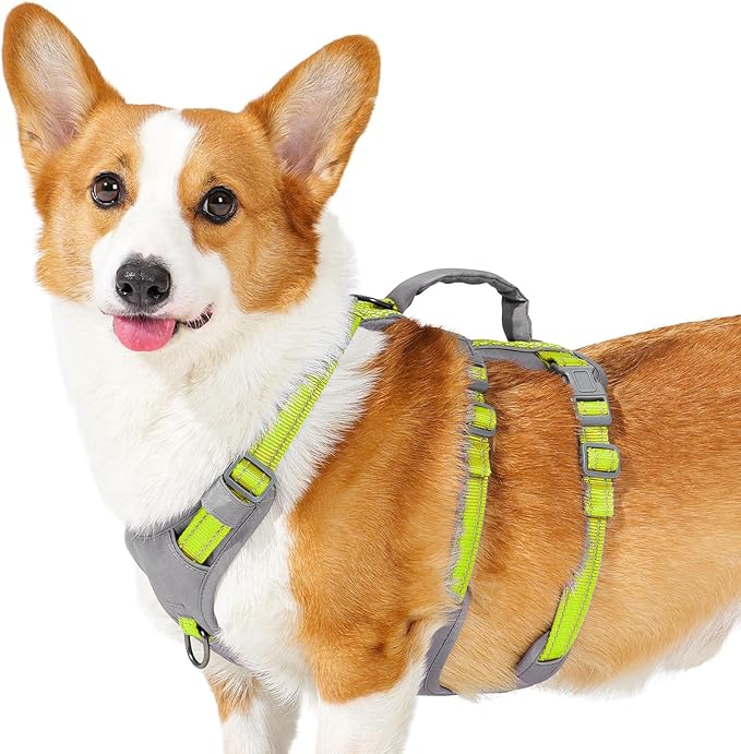 Huntboo Reflective Dog Harness with Handle, Escape Proof, No Slip, Breathable, Lightweight, Adjustable Lift Harness for Small, Medium, and Large Dogs Walking, Training,and Running Gear(Bright Green,M)