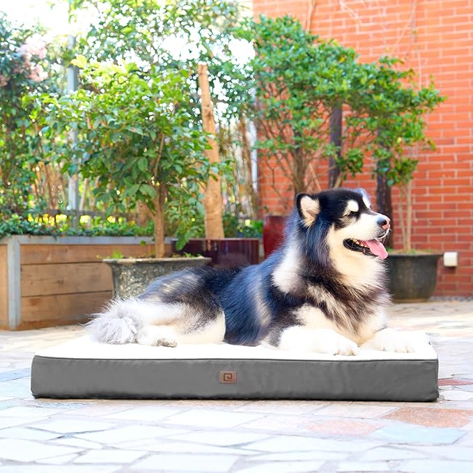 EHEYCIGA Orthopedic XL Dog Beds for Extra Large Dogs with Removable Washable Cover for Crate, Beige, 41x27