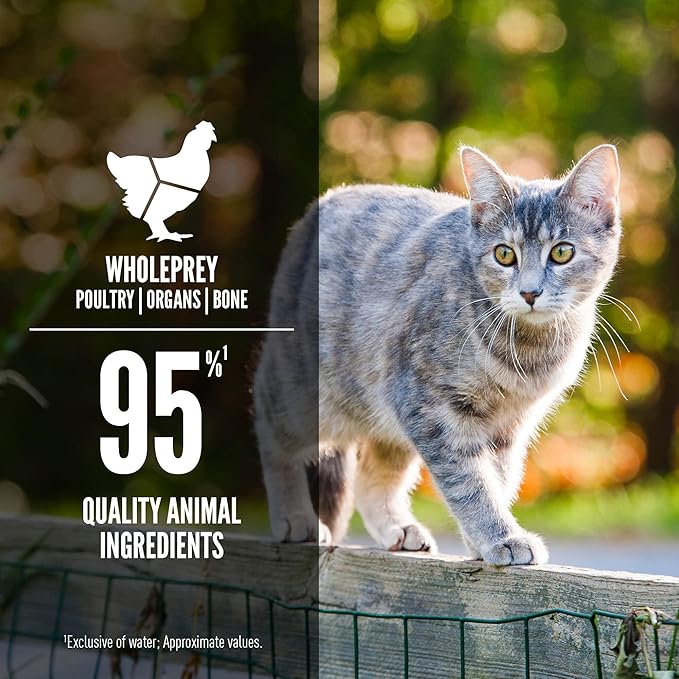 ORIJEN Premium Pate Wet Cat Food in Bone Broth Duck & Chicken Entrée 3oz Cans (24 Count)