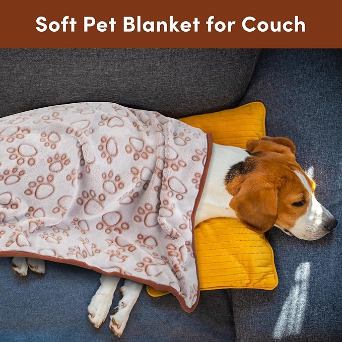 Stuffed Brown Soft Dog Blanket for French Bulldog Gifts, 43 * 66 inches, Premium Brown Flannel Fleece Blanket, Newborn Puppy Kitten Boy Essentials