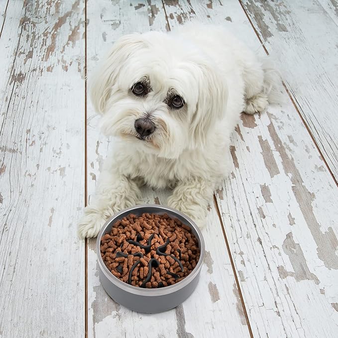 Jaoul Slow Feeder Dog Bowls Insert, Puzzle Slow Feeder Insert with 21 Octopus Suction Cups for Small Breed Dog Food Bowls (4 inch, Black)