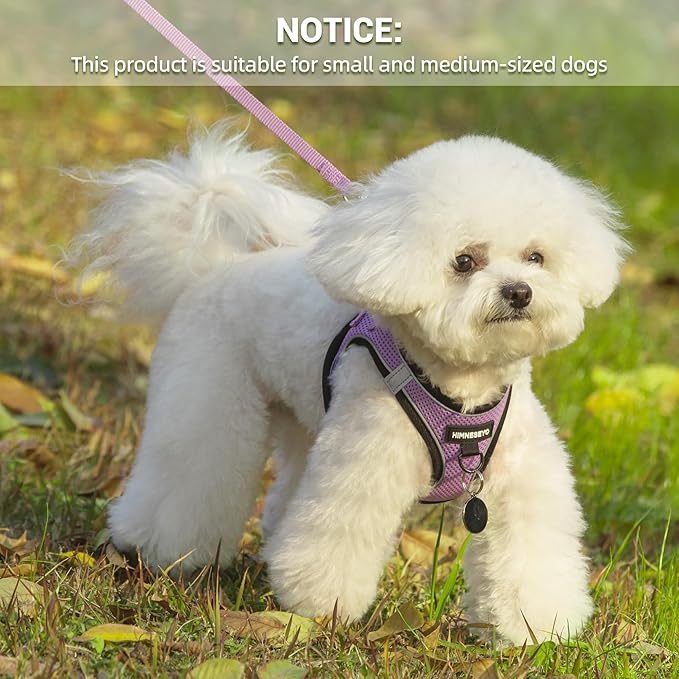 Dog Harness and Leash Set, Dog Harness for Dogs No Pull, No-Chock Step-in Reflective Breathable Lightweight Easy Walk Vest Harnesses with Safety Buckle for Small Medium Dogs, Cats (Light Purple, M)