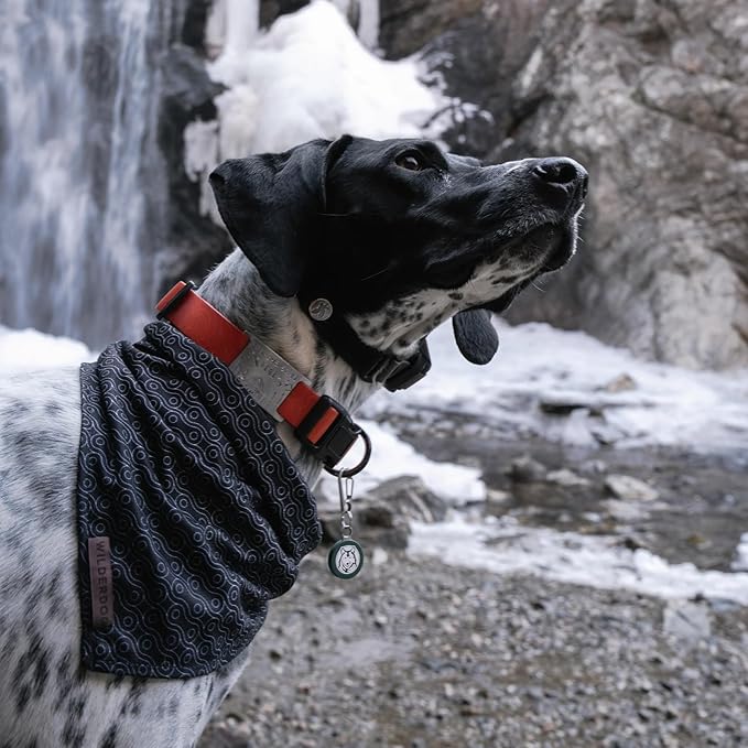 Wilderdog Dog Bandana with Lightweight Quick Drying Poly-Blend Mesh Material in Off The Chain