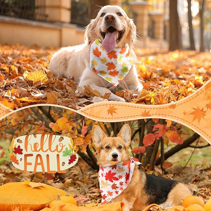 Chunful 60 Pcs Fall Bandanas for Dogs Autumn Maple Leaf Pumpkin Patterns Soft Bibs Adjustable Triangle Doggie Scarf for Small Medium Large Pet Costume(31.5 x 21.7 x 21.7 Inch)