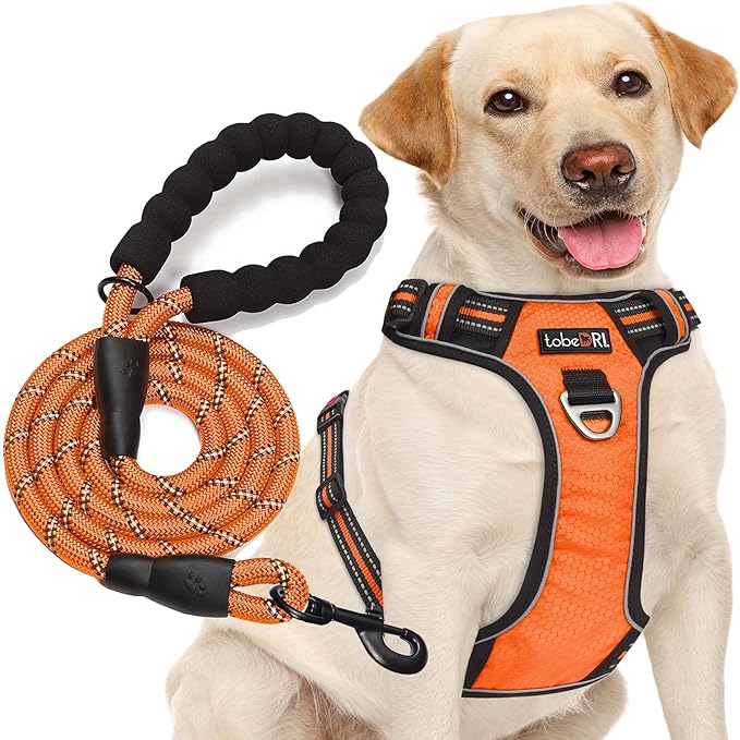 No Pull Dog Harness Adjustable Reflective Oxford Easy Control Medium Large Dog Harness with A Free Heavy Duty 5ft Dog Leash (S (Neck: 14"-17", Chest: 18.5"-20"), Orange Harness+Leash)