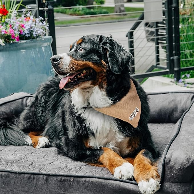 Pet's Bandanas for Large Dog Solid Color Letter Embroidered Dog Scarf with Adjustable Button, Coffee, Large