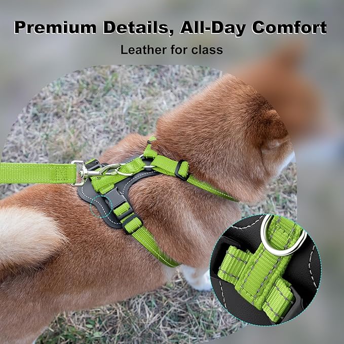 Plutus Pet Adjustable No Pull Dog Harness with Leather Accents, Heavy Duty Reflective Nylon Vest for Training, Hiking, Easy Walk Harness for Small, Medium, Large Dogs (Green, L)