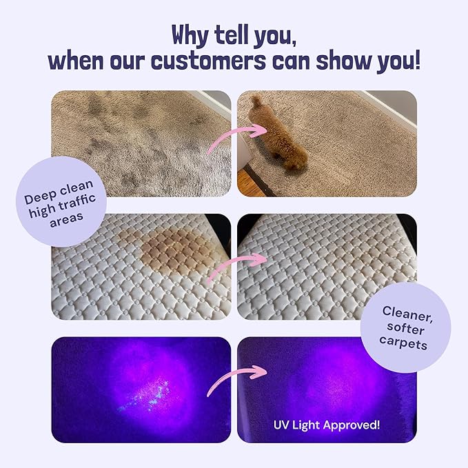 Sunny & Honey Carpet Cleaner Shampoo - 128 Fl Oz, Light Lavender Scent - Pet Stain Remover & Odor Eliminator - Rug Cleaner & Upholstery Cleaner Solution for Machine Use