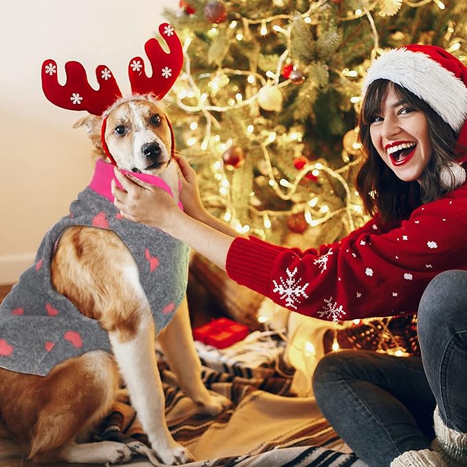 Reginary 10 Pack Large Dog Sweaters Fleece Pet Dog Clothes with Leash Ring Soft Warm Winter Puppy Plaid Shirt(Stylish)