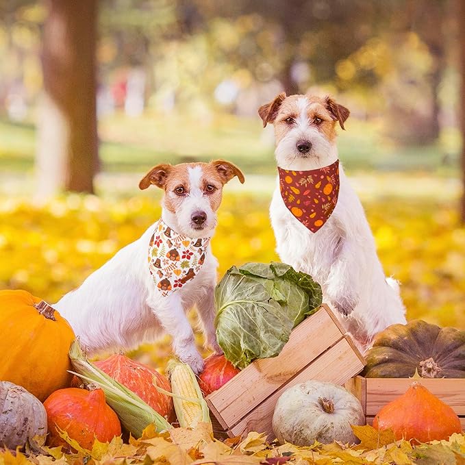 ADOGGYGO Thanksgiving Dog Bandana, Pumpkin Turkey Pet Scarf, Multi Size Offered, Fall Autumn Leaves Thanksgiving Bandanas for Small Dogs Cats Puppies (Small)