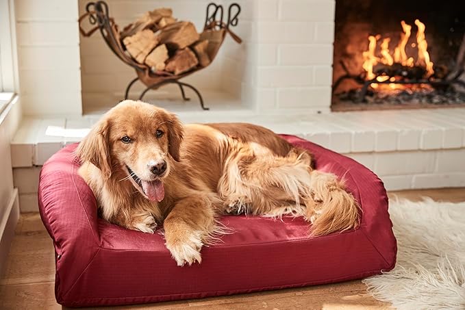 K9 Ballistics Tough Orthopedic Small Bolster Dog Bed - Washable, Durable and Water Resistant Dog Bed - Made for Toy and X-Small Dogs, 24" x 18", Titanium Premium Finish