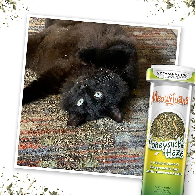 Meowijuana Honey Bee Bundle | Get Buzzed Honey Bee Wand Toy and Honeysuckle Haze Catnip Blend | Promotes Play and Cat Health | Includes North American Organic Catnip